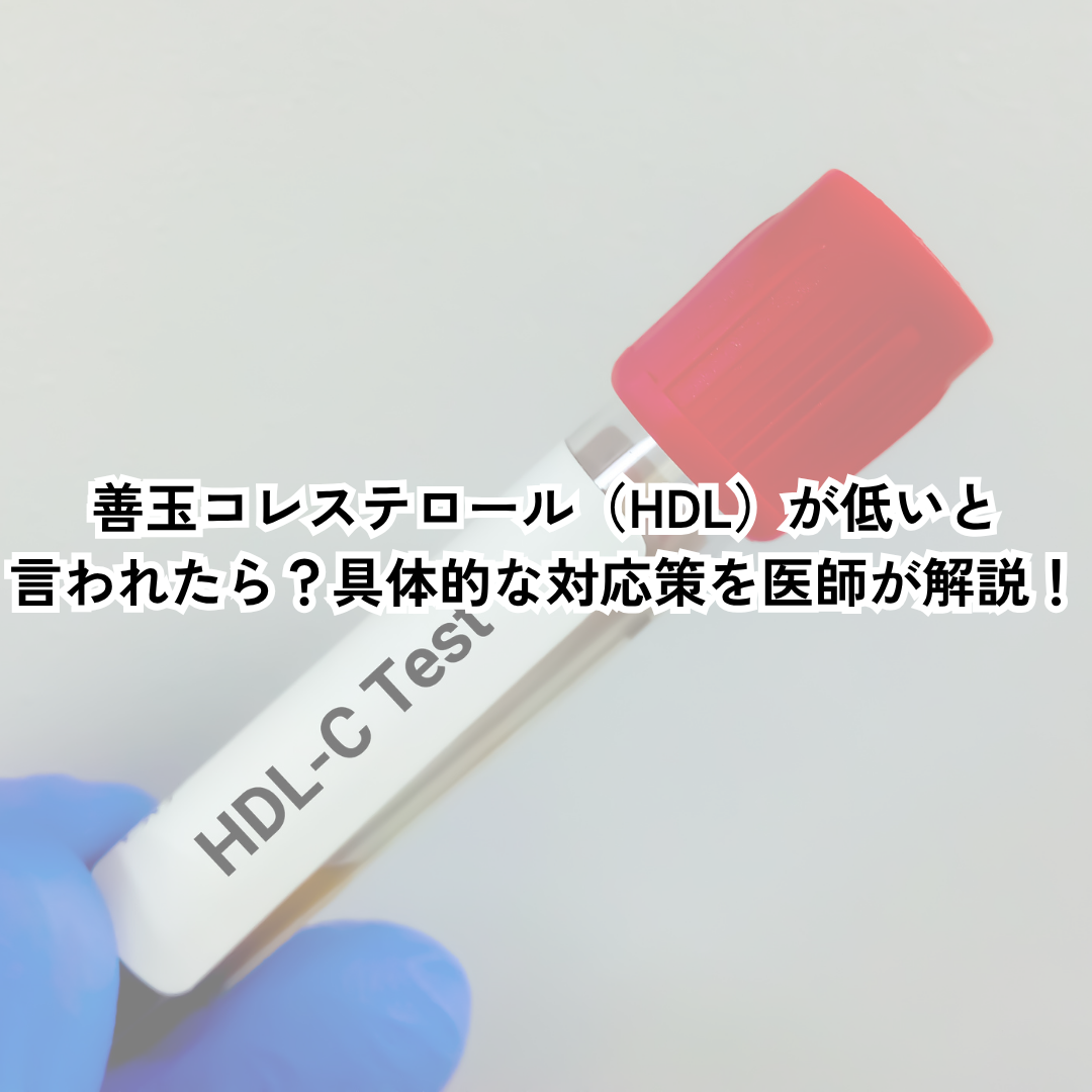 善玉コレステロール（HDL）が低いと言われたら？具体的な対応策を医師が解説！